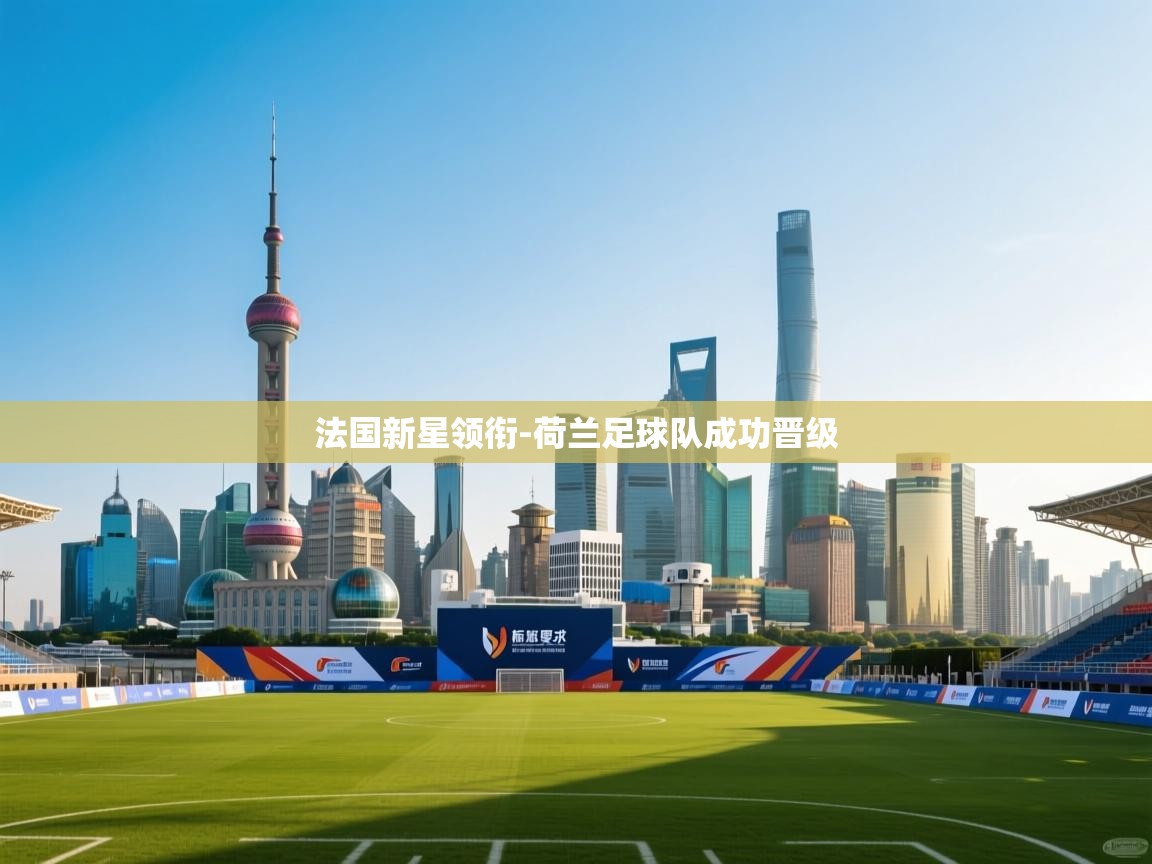 法国新星领衔-荷兰足球队成功晋级 第1张