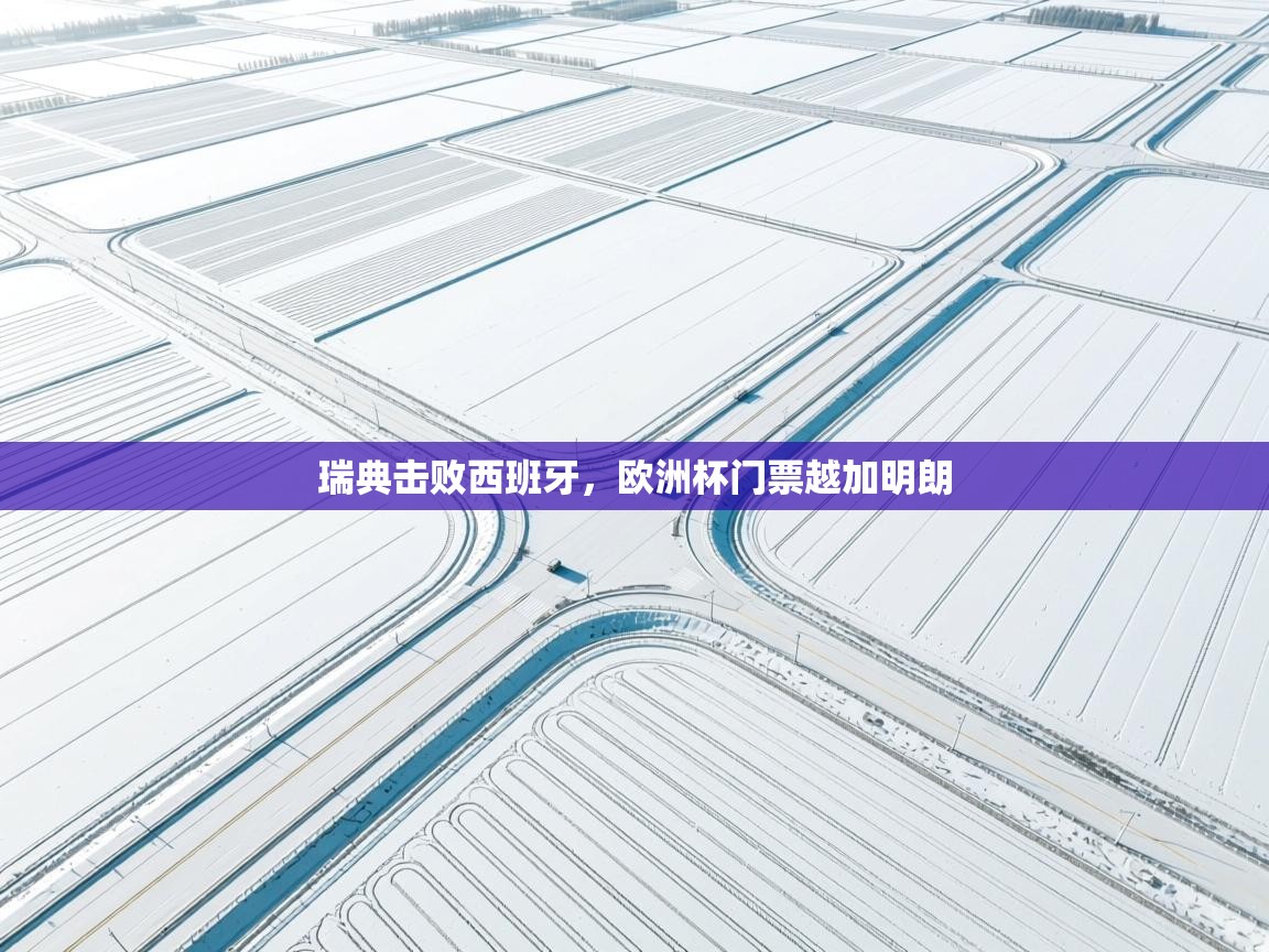 瑞典击败西班牙，欧洲杯门票越加明朗  第1张