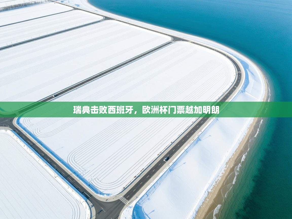 瑞典击败西班牙，欧洲杯门票越加明朗  第2张